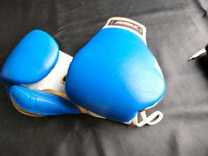 Boxing Gloves-Leather Top Fighter