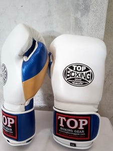 PRO FIGHT BOXING GLOVES-LEATHER