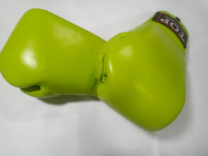 PRO BOXING GLOVES- LEATHER